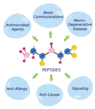 Diagram showing peptides at the center with arrows pointing to roles in antimicrobial agents, neurodegenerative disease, signaling, anti-cancer, anti-allergy, biotic communications, and potential in Regenerative Medicine for Long Life.